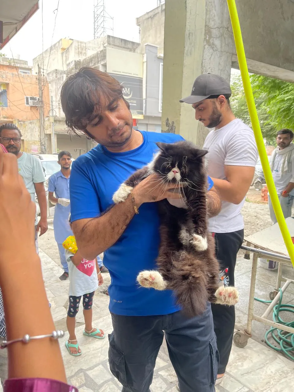 A man holding his big black and white Persian cat during a health check-up visit