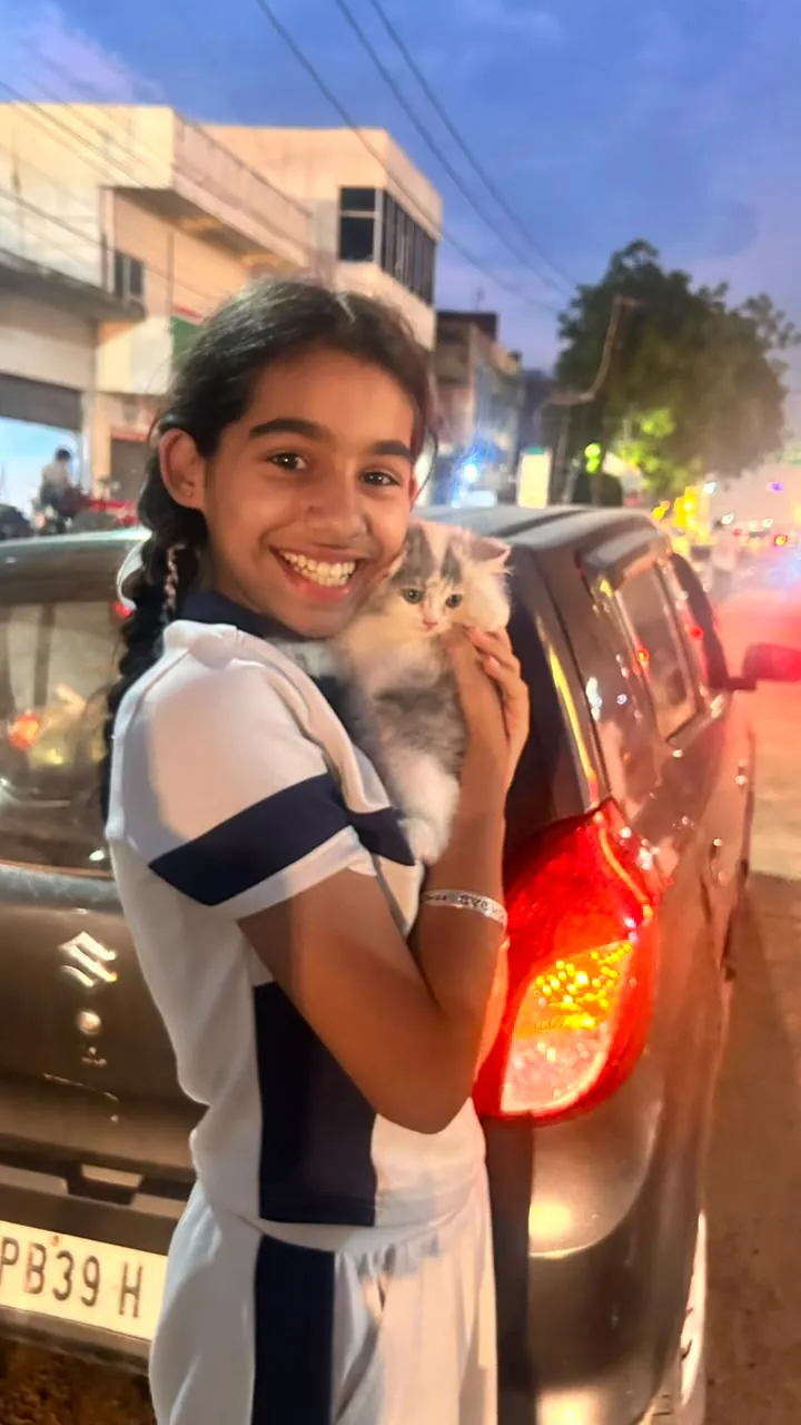 A girl smiling while holding her grey and white kitten
