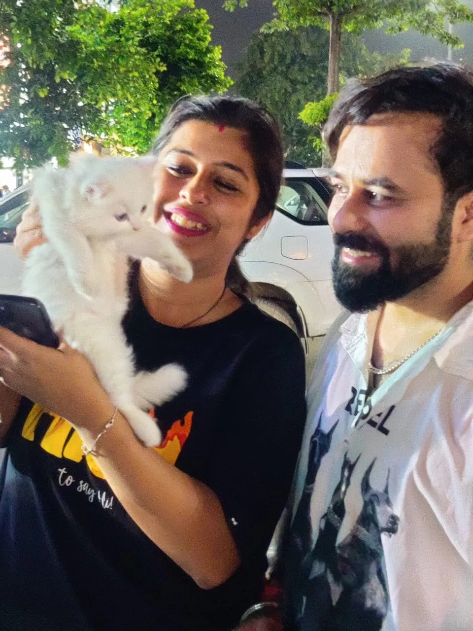 A couple meeting their white Persian kitten on handover day