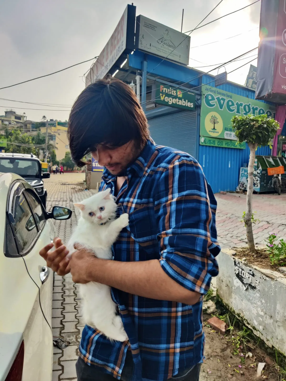 A young man carefully holding a white Persian kitten with blue eyes