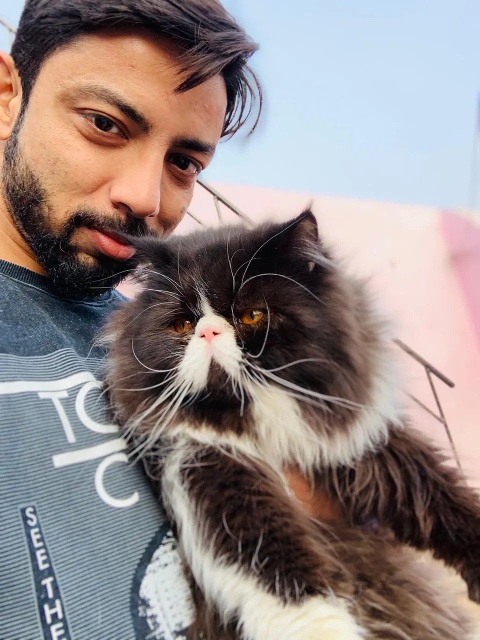 Owner with an adult black and white Persian cat with amber eyes