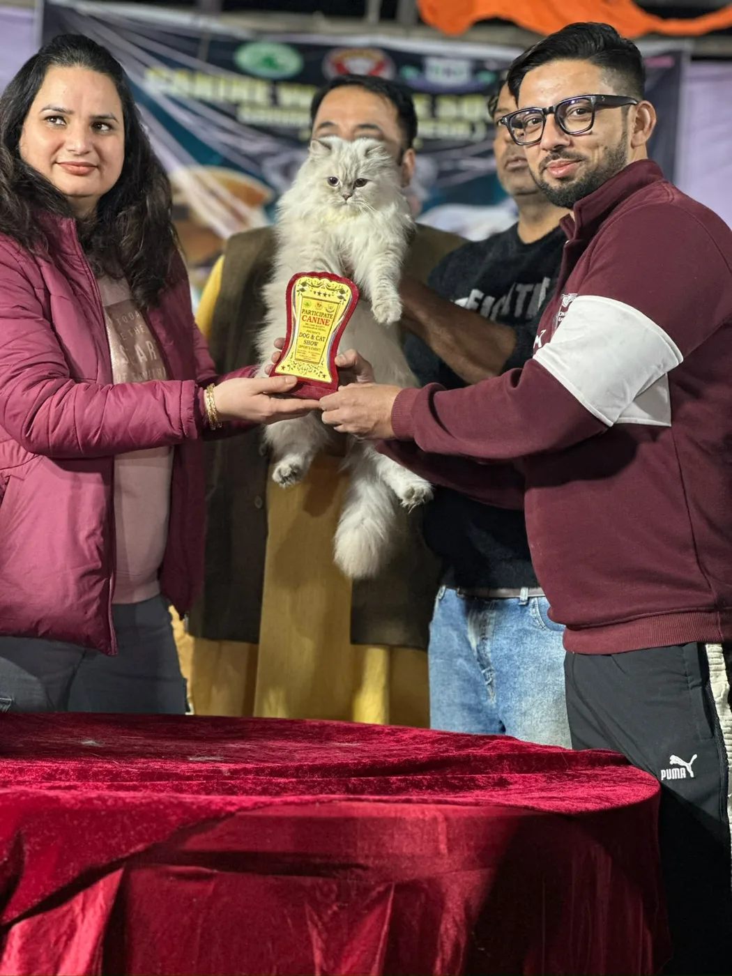 Owner receiving a trophy at a dog and cat show while holding a silver Persian cat