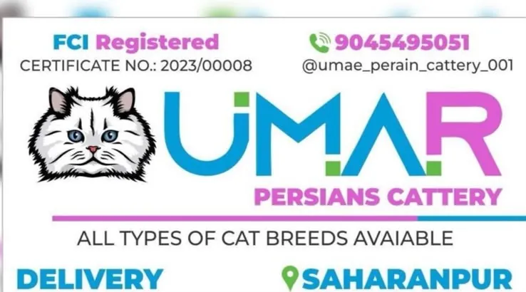 Umar Persians Cattery banner showing FCI registration number 2023/00008, phone number 9045495051 and Saharanpur location